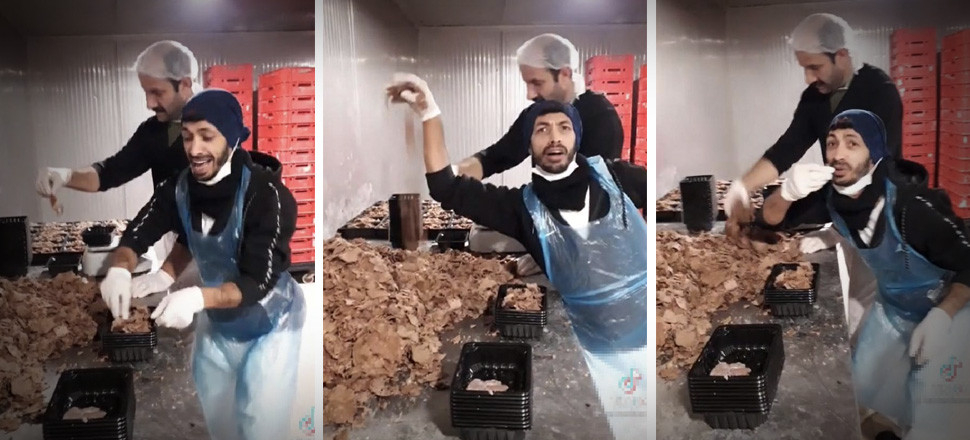 Tarım Bakanlığı harekete geçti