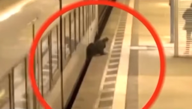 Metroda dehşet anları!