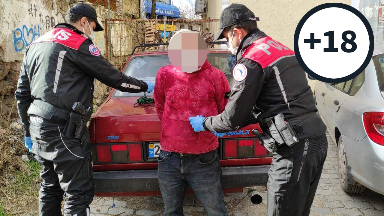 Yavru köpeklere cinsel istismara gözaltı