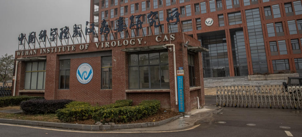 Wuhan'da görülmemiş verilere ulaşıldı