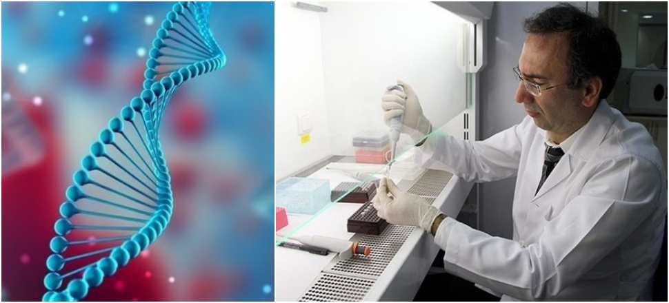 Babalık davasında çoklu DNA şoku