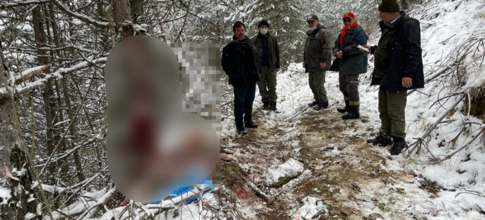 Hamile karacayı öldürüp derisini yüzerken yakalandılar