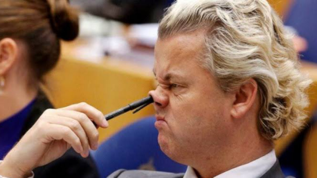 Irkçı Wilders'e özgürlük, Soylu'ya sansür
