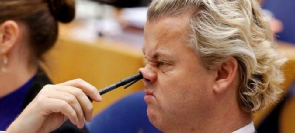 Irkçı Wilders'e özgürlük, Soylu'ya sansür