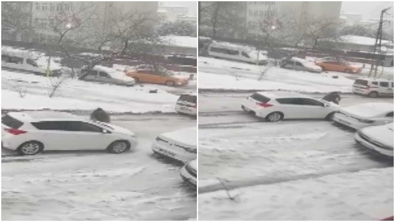 Kayan aracı eliyle durdurmaya çalıştı!