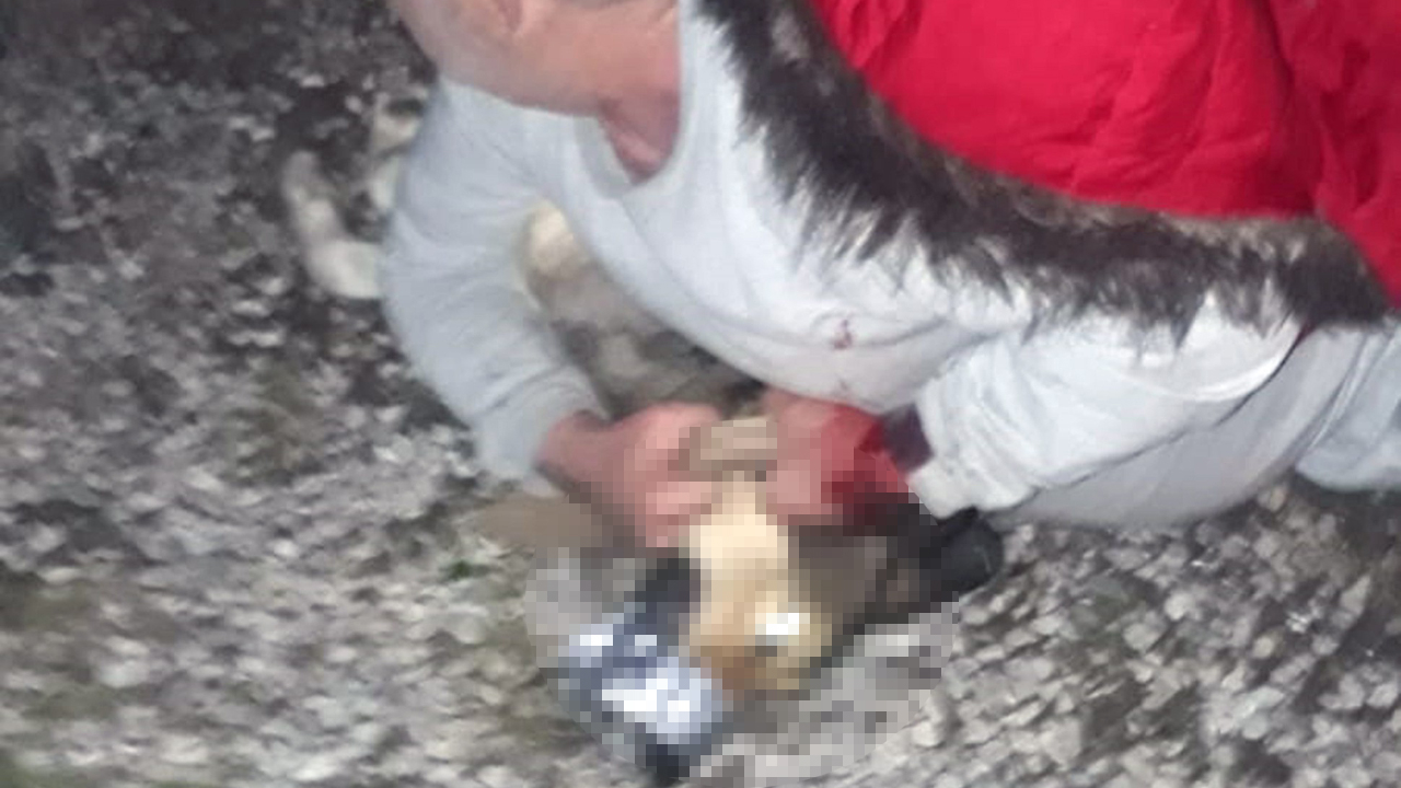 Köpeğin saldırdığı vatandaşı Jandarma kurtardı
