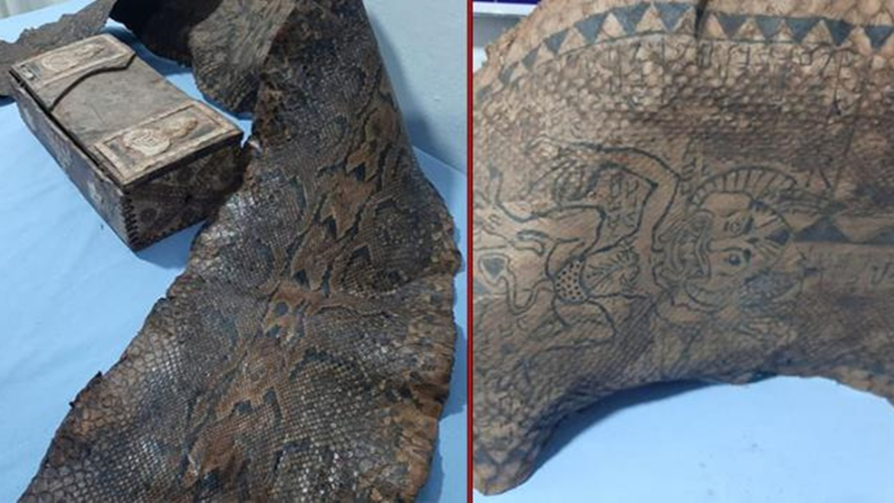 Orta Çağ'dan kalma İbranice yazıların bulunduğu piton derisi ele geçirildi