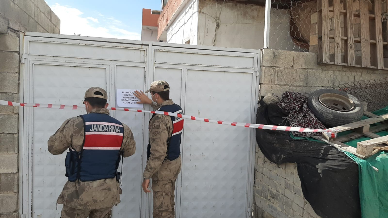 Hem soyulup hem de mutasyonlu korona oldular