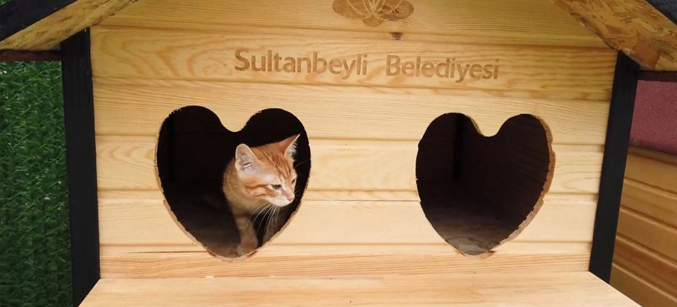Sultanbeyli’de Sevimli Patiler Kliniği açıldı