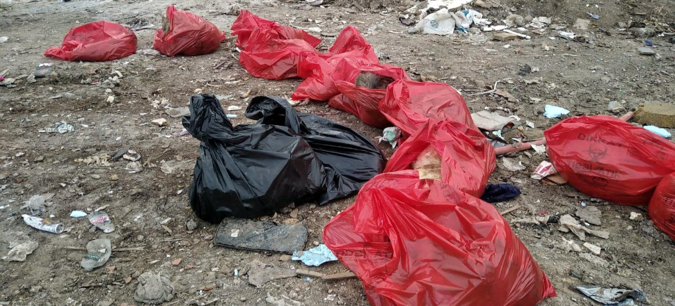 Molozların arasında 20 ölü köpek bulundu