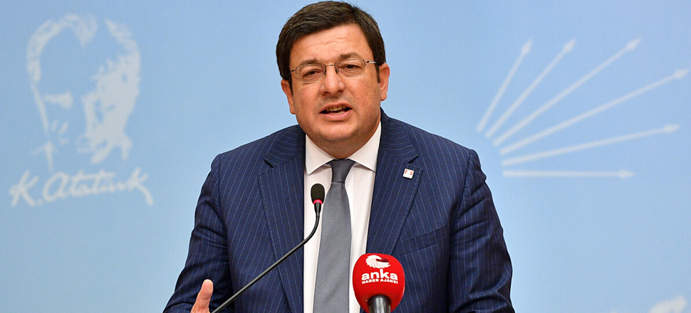CHP Genel Başkan Yardımcısı Erkek'ten ağaç katliamı