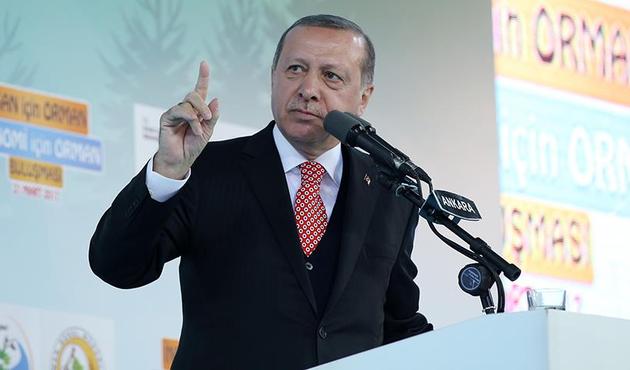 Cumhurbaşkanı Avrupa'ya tarih verdi: "16 Nisan bir geçsin, masaya oturacağız!"