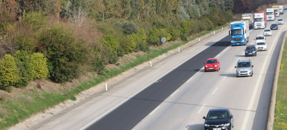 Yol kenarında üretilen sebze ve meyveler tehlike saçıyor