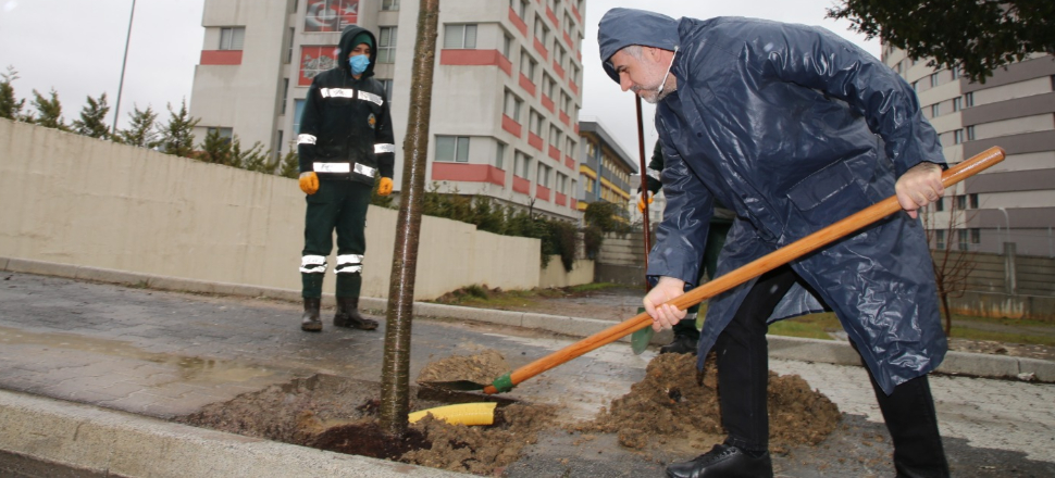 Sultanbeyli Belediyesi fidanlarla yarınlara nefes oluyor
