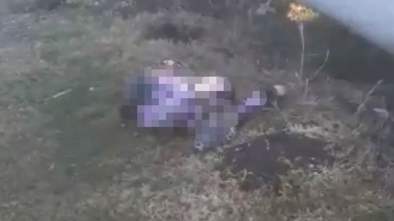 Hamile kadın korkunç halde bulundu