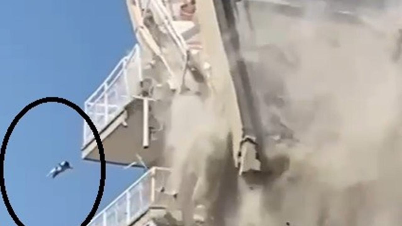 Bina yıkılırken düşen kedi ağır yaralandı