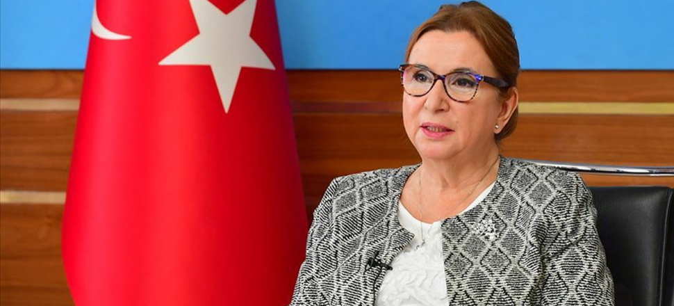 Kira ve gelir kaybı destek başvuru süresi uzatıldı