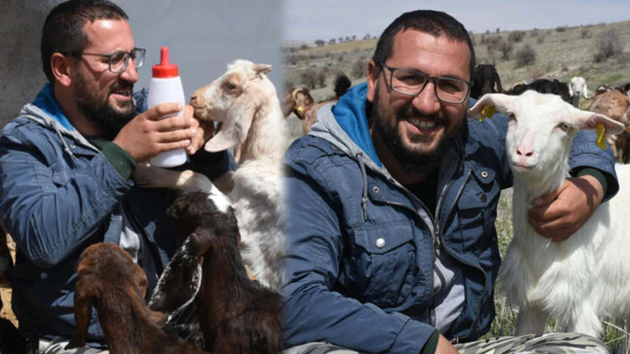 Şirketini kapatıp keçi çiftliği kurdu