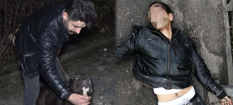 Ormanlık alanda kadına tecavüz etmeye çalışan tacizciyi pitbull yakaladı