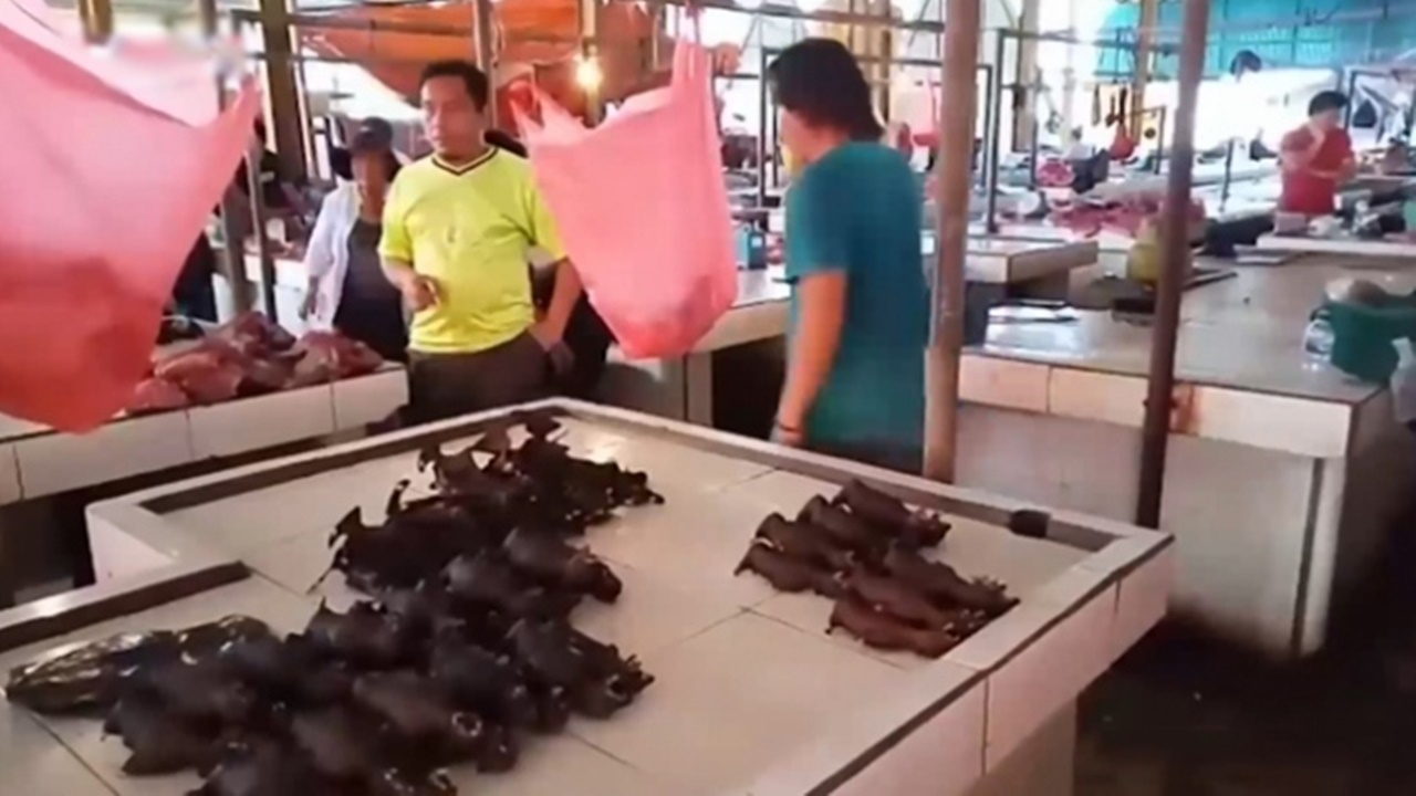 DSÖ'den flaş çağrı: Canlı hayvan pazarları kapatılsın