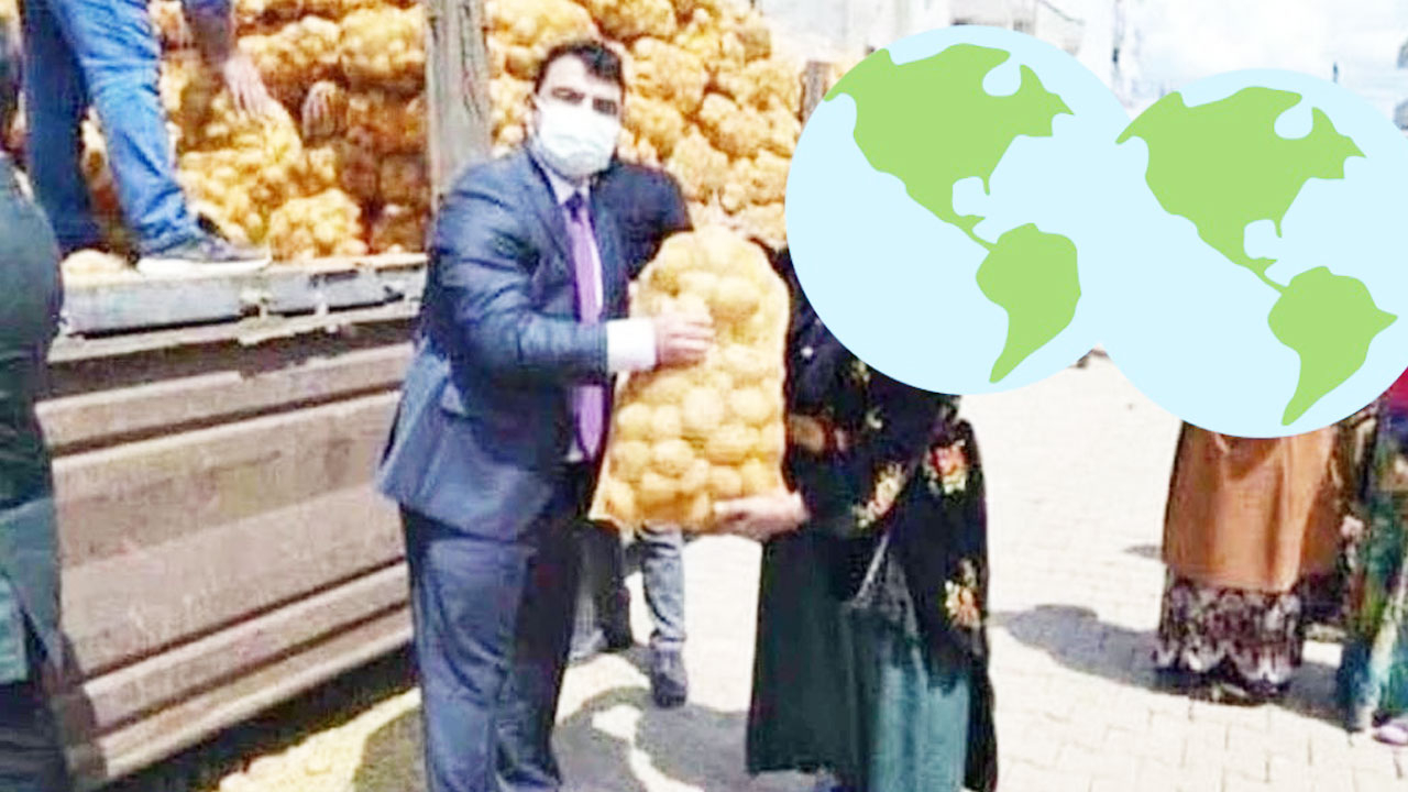 Patates görgüsüzlüğüne tepki