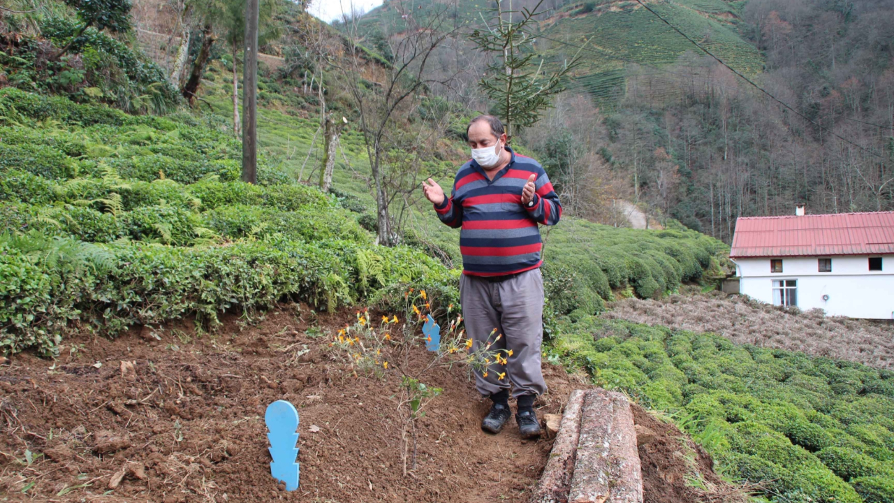 Rize'de aynı aileden 8 kişi koronaya yenildi