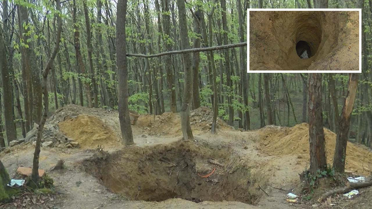 Belgrad Ormanı'nda hayrete düşüren görüntü