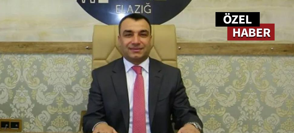 Almanya'ya firara 'Kafam bulanık' savunması