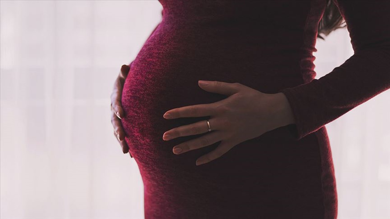 Yetkililerden çağrı: Hamilelik planlarınızı erteleyin