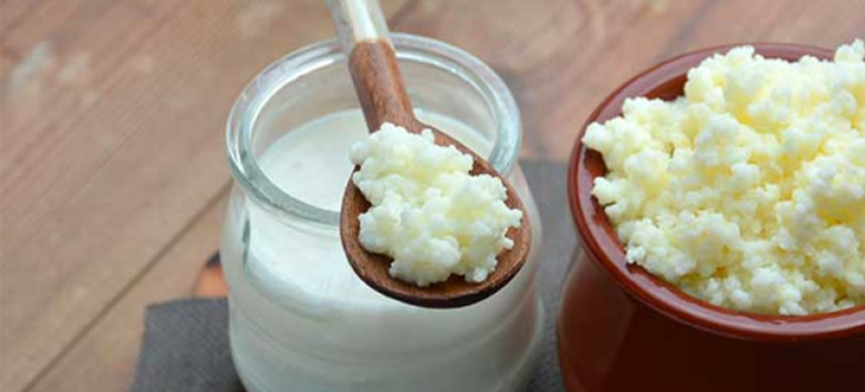 Bilim insanlarından ilginç iddia: Koronavirüse karşı kefir!