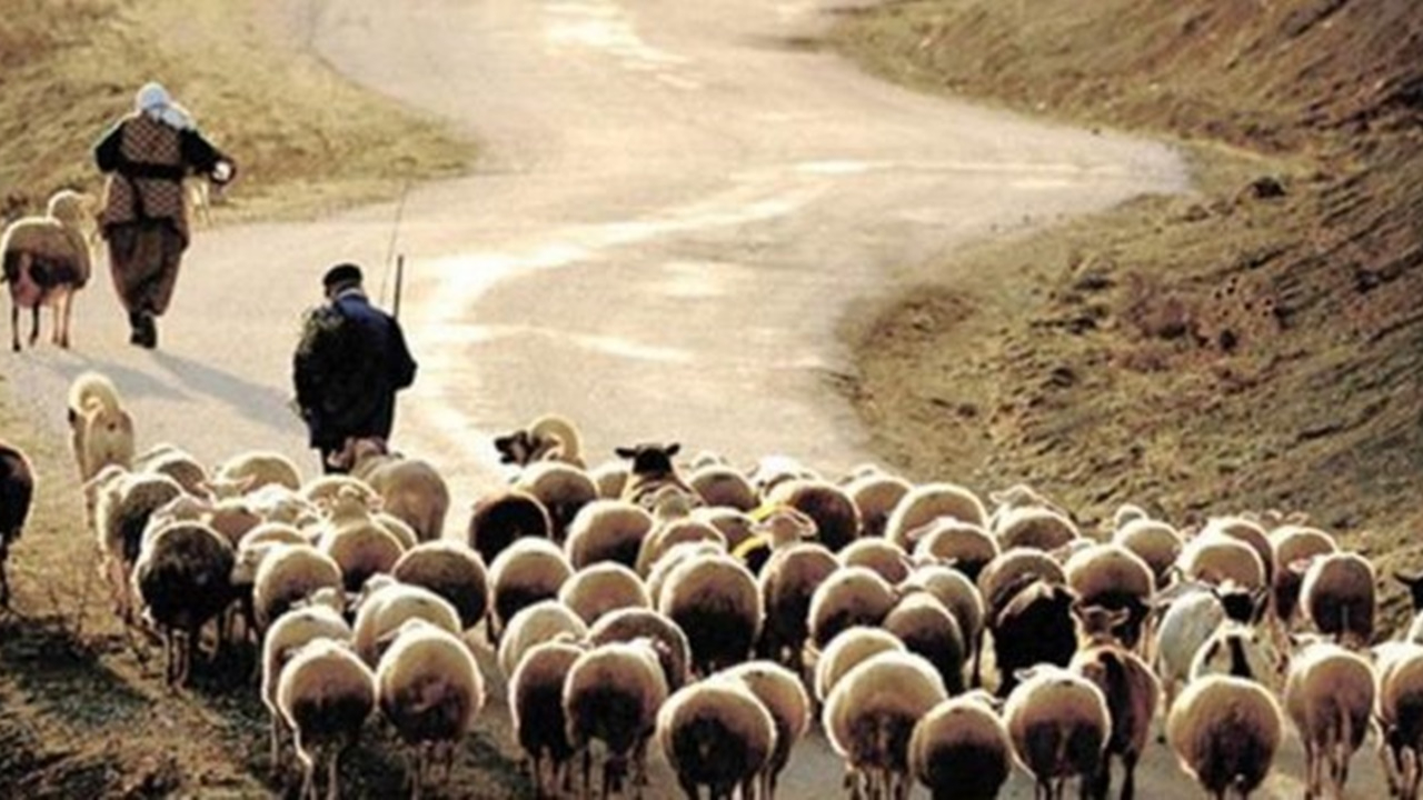 Şehirden köye dönenlere büyük teşvik