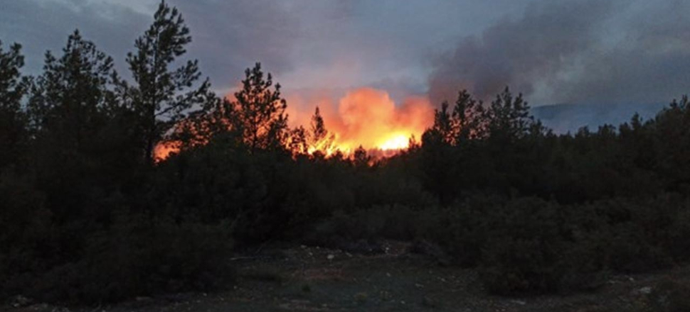 Muğla'da 5 dakika arayla 2 orman yangını