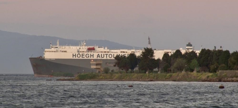 180 metrelik dev gemi Tuzla'da karaya oturdu!