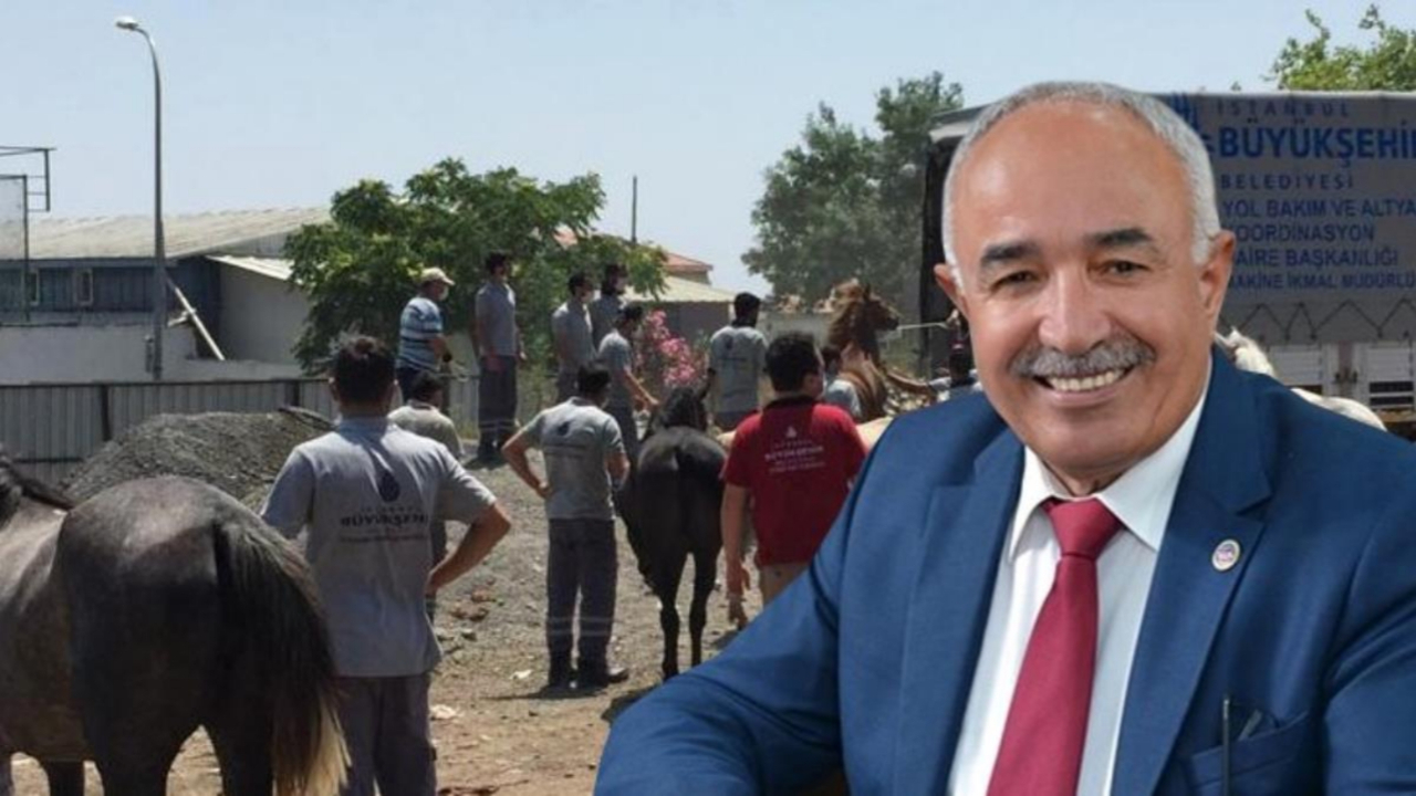 100 atı kaybeden başkan: Sucuk yapılmadı