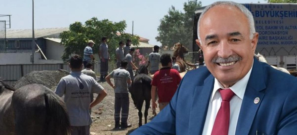 100 atı kaybeden başkan: Sucuk yapılmadı