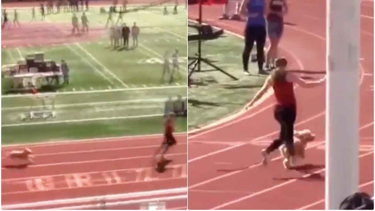 Amerika'da bir köpek 100 metreyi Usain Bolt gibi koştu!