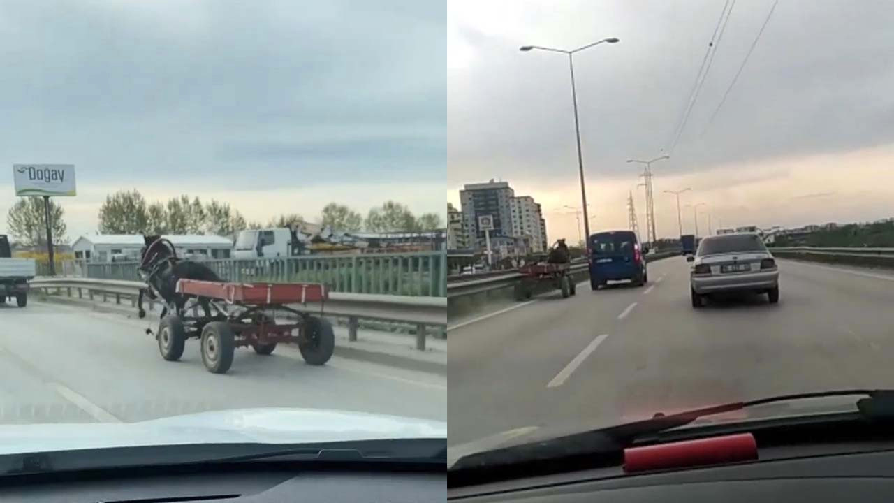Sürücüsüz at arabası trafiği bir birine kattı