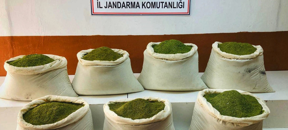 Bakan Soylu "Kahramanlarımıza selam olsun" diyerek açıkladı