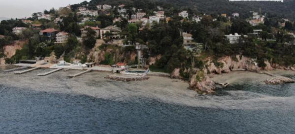 Çökmesi tehlike demek! Büyükada'yı 'salya' sardı
