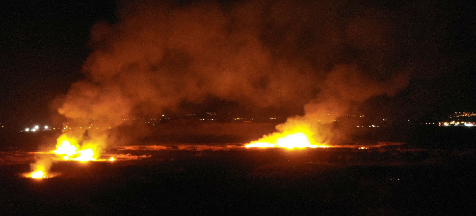 Erzincan'da kuş cenneti yanıyor