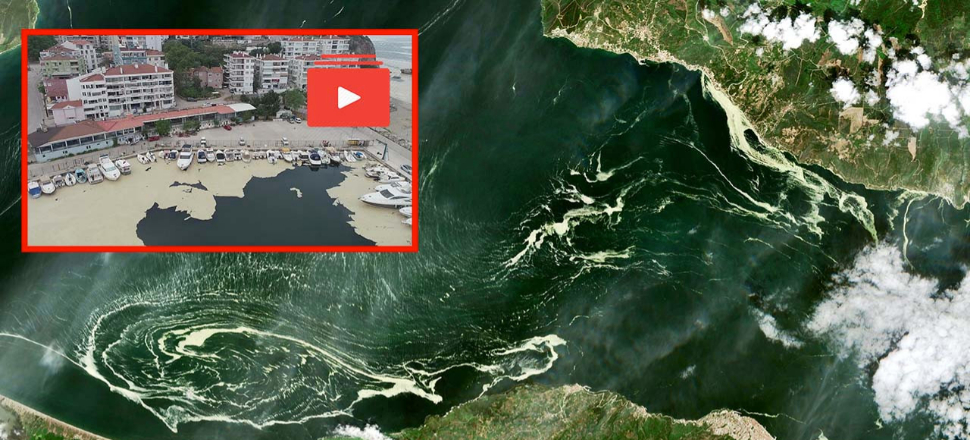 Marmara Denizi'ni 'deniz salyası' kapladı