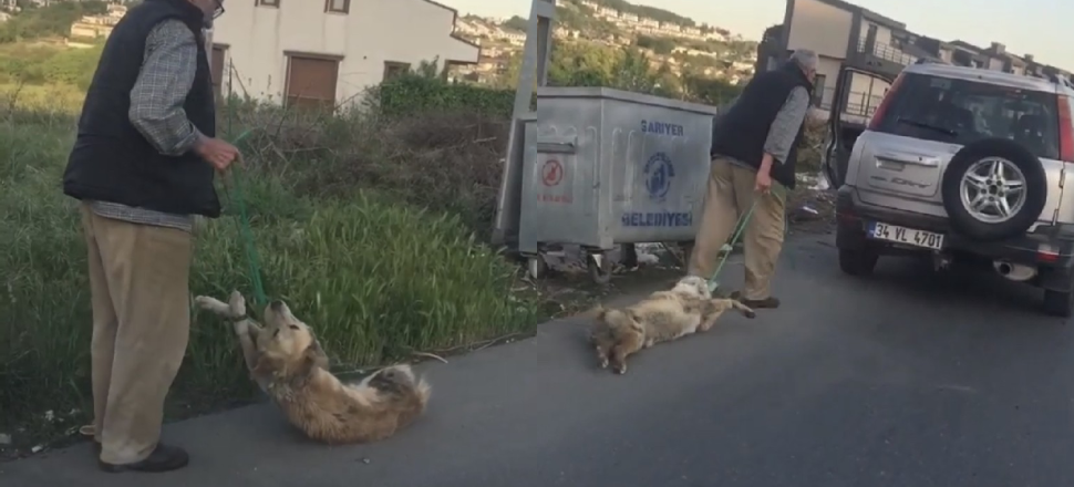 Bağladığı köpeği sürükleyerek çöpe attı