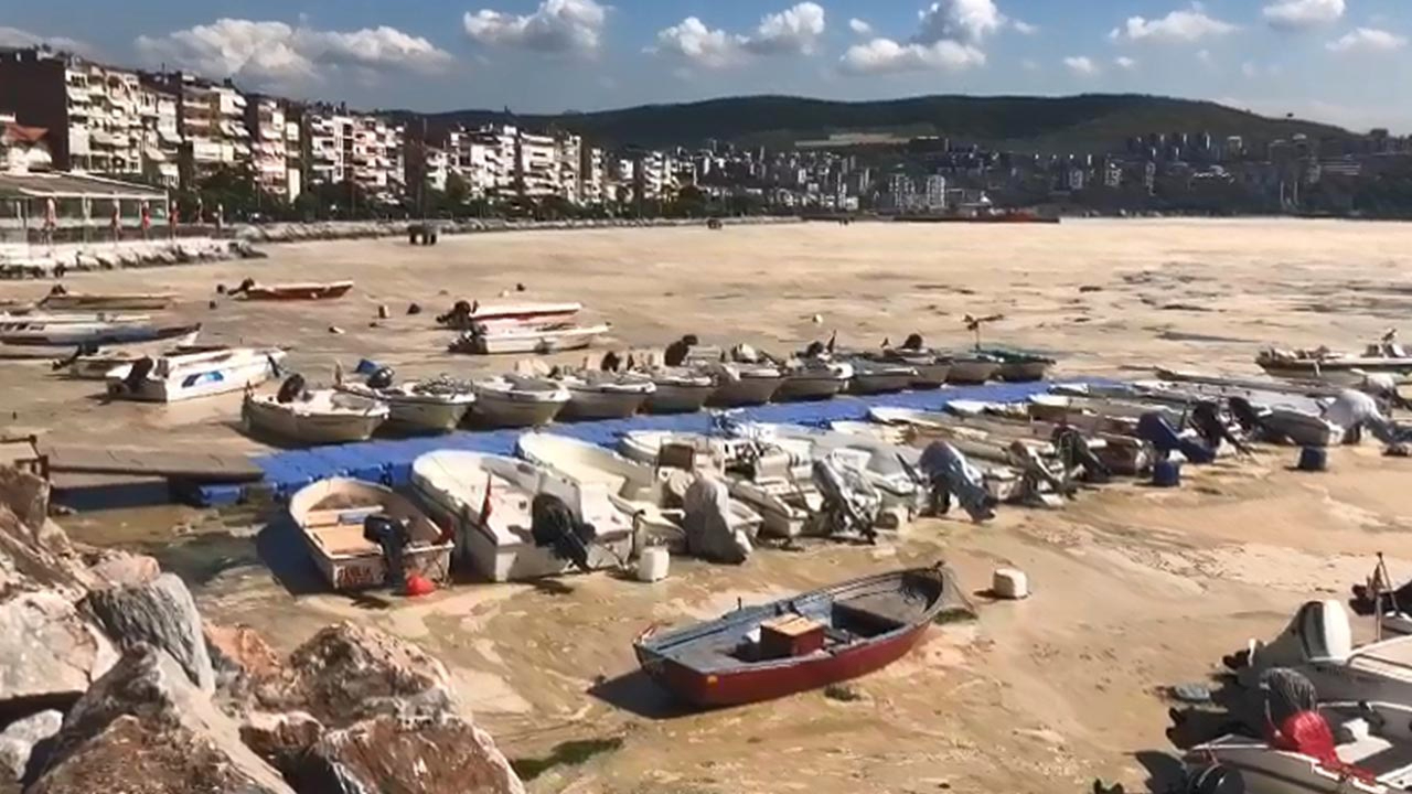 Marmara'da korkunç manzara