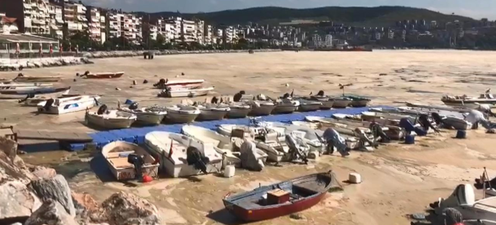 Marmara'da korkunç manzara