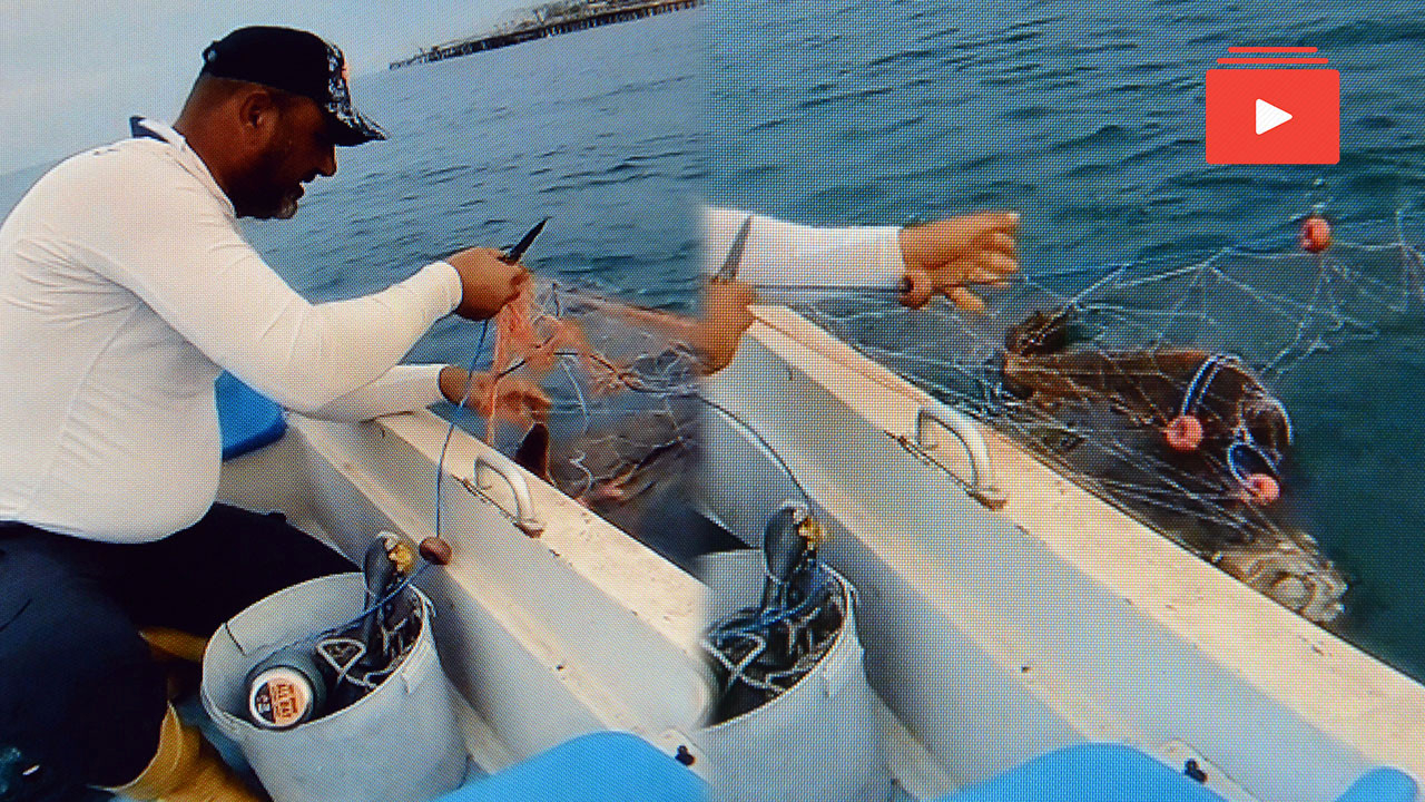 Caretta carettayı 'Tamam gülüm' diyerek kurtardı