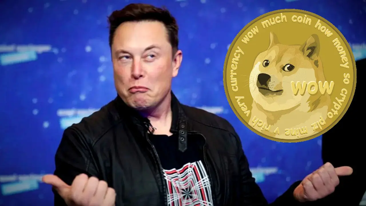 Elon Musk, Dogecoin'e bu kez dibi gördürdü