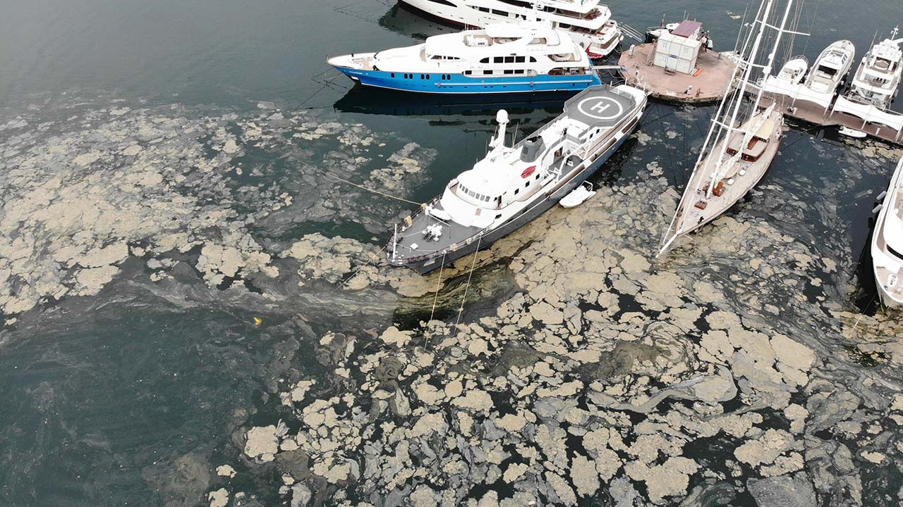 Marmara Denizi'nin dibi de salya ile kaplanmaya başlandı