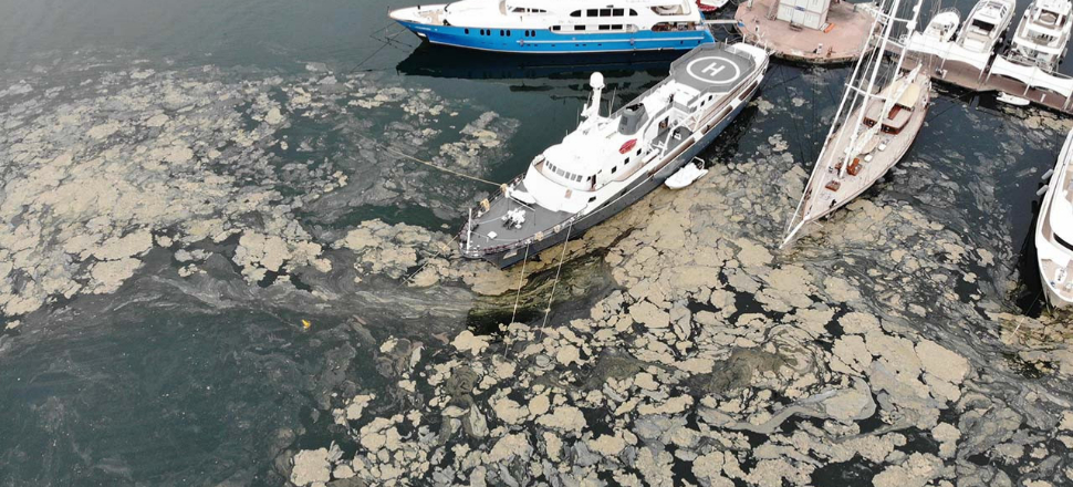 Marmara Denizi'nin dibi de salya ile kaplanmaya başlandı