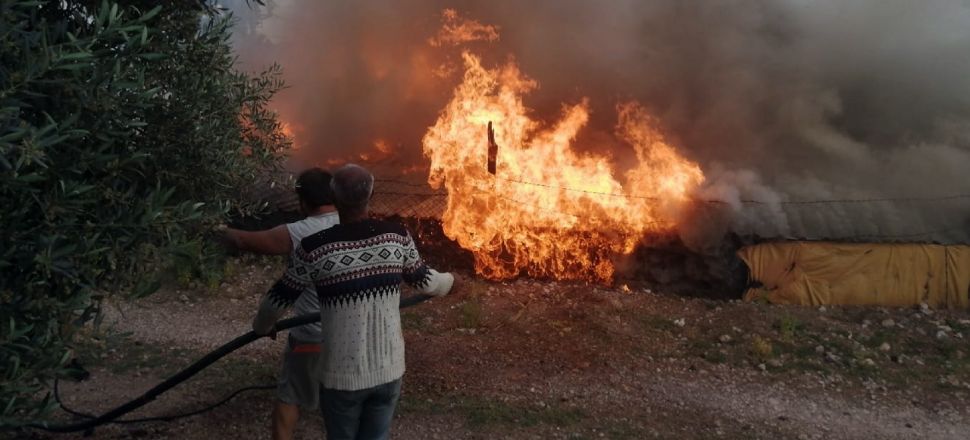 Yangında insan zinciri oluşturdular