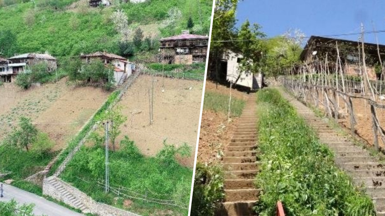 Trabzon'da komşuların inanılmaz inatlaşması! Gören dönüp tekrar bakıyor...